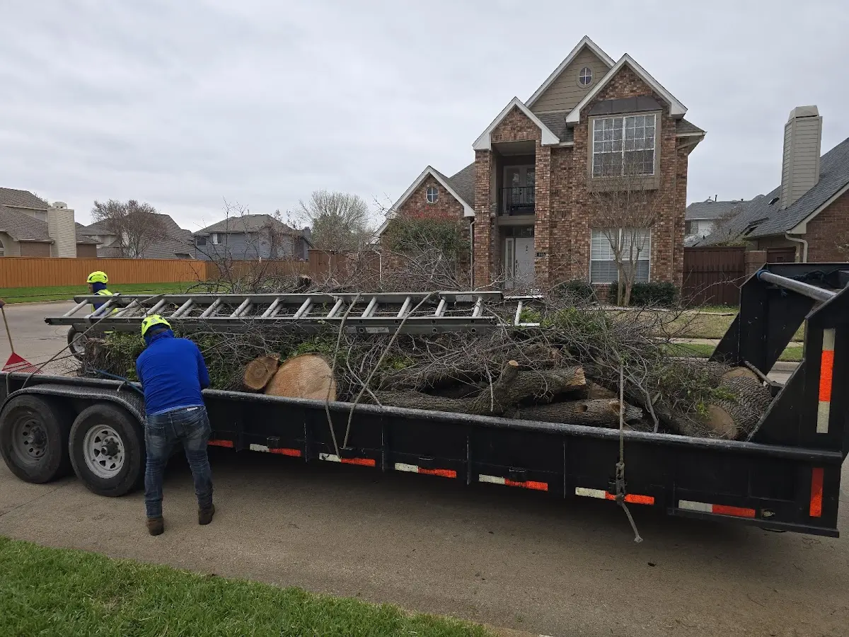 Expert Crown Reduction with proper safety equipment in Clarks Point